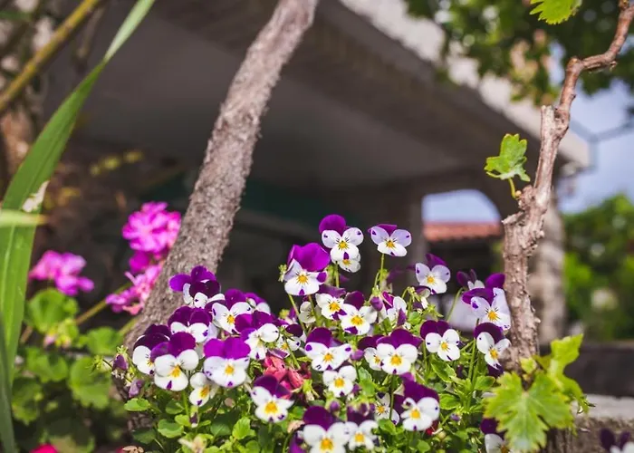 In With Balcony, Air Conditioning, Wifi, Washing Machine 4886-3 Lopar