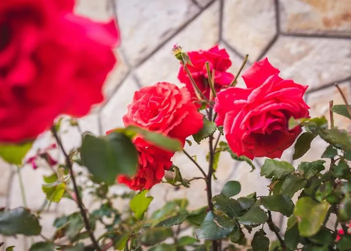 Apartamento In With Balcony, Air Conditioning, Wifi, Washing Machine 4886-3 *