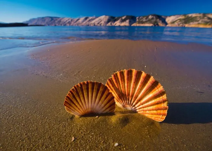 Apartamento In With Balcony, Air Conditioning, Wifi, Washing Machine 4886-3 Lopar